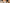 Pumpkin Spice Tassenkuchen