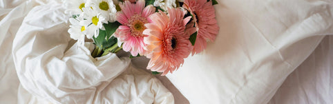 Der perfekte Morgen am Valentinstag