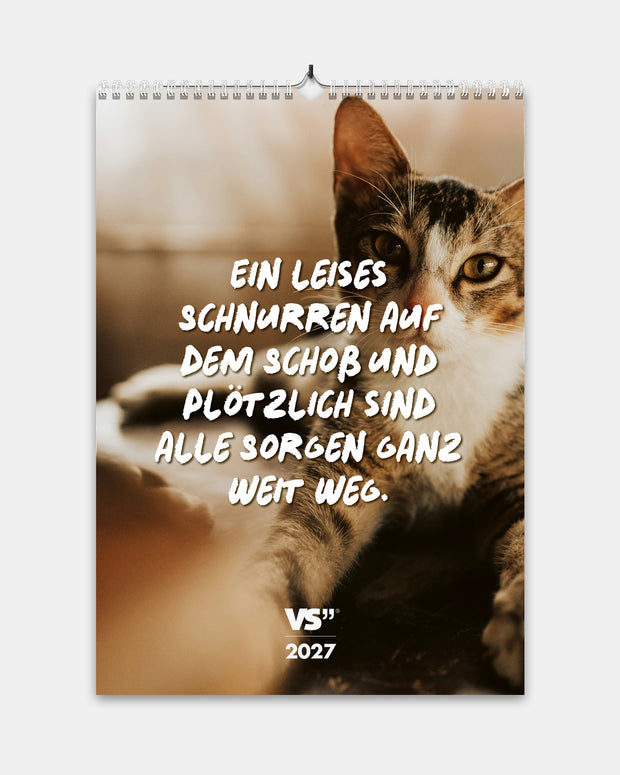 Katzen - Monatswandkalender 2027 - A4 Kalender Visual Statements®