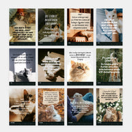 Katzen - Monatswandkalender 2027 - A4 Kalender Visual Statements®