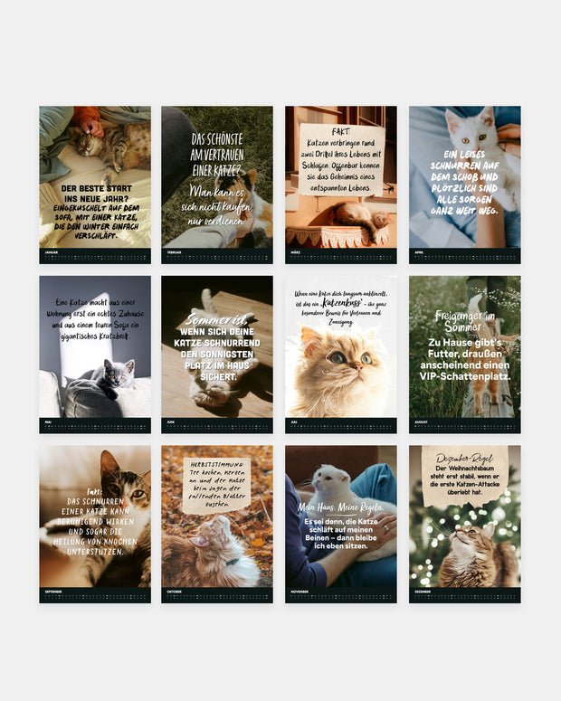 Katzen - Monatswandkalender 2027 - A4 Kalender Visual Statements®