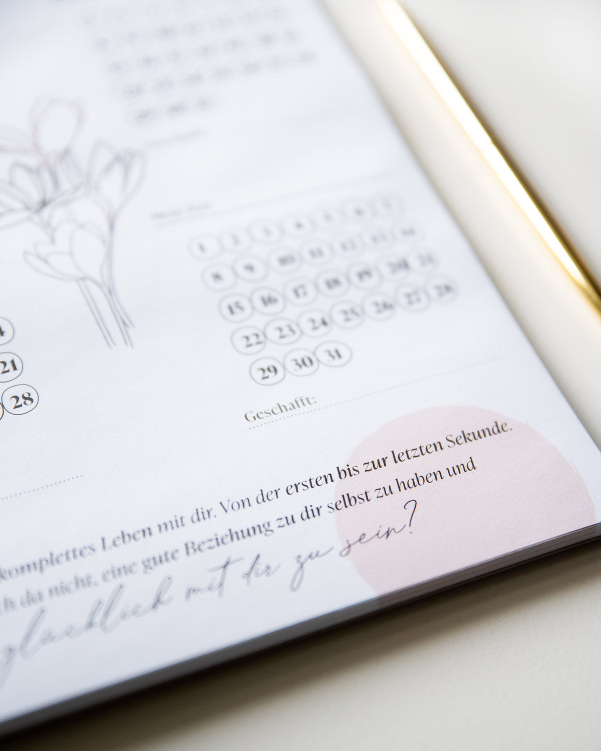 Habit Tracker Listen & Blöcke Visual Statements®