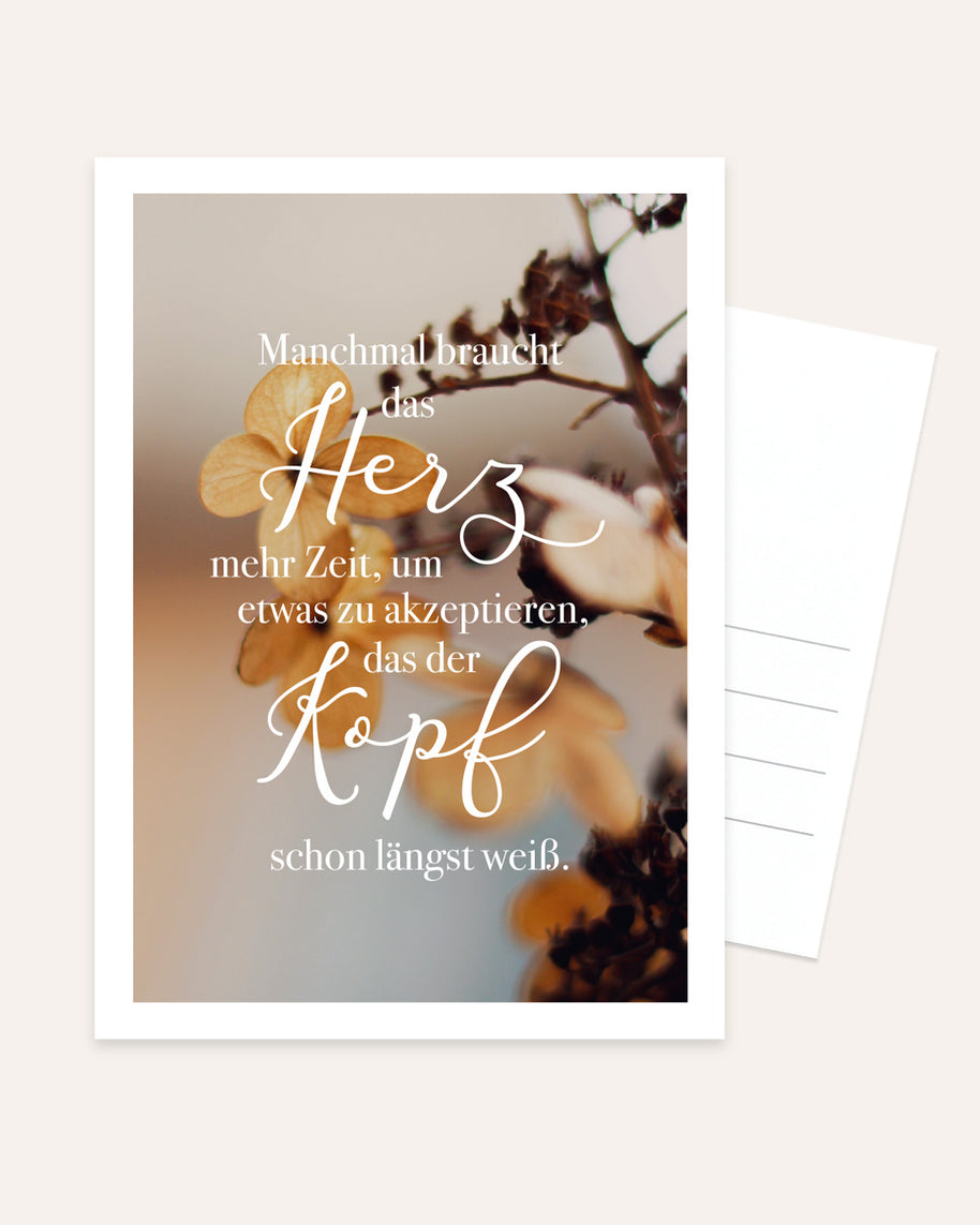 Herz und Kopf - Postkarte