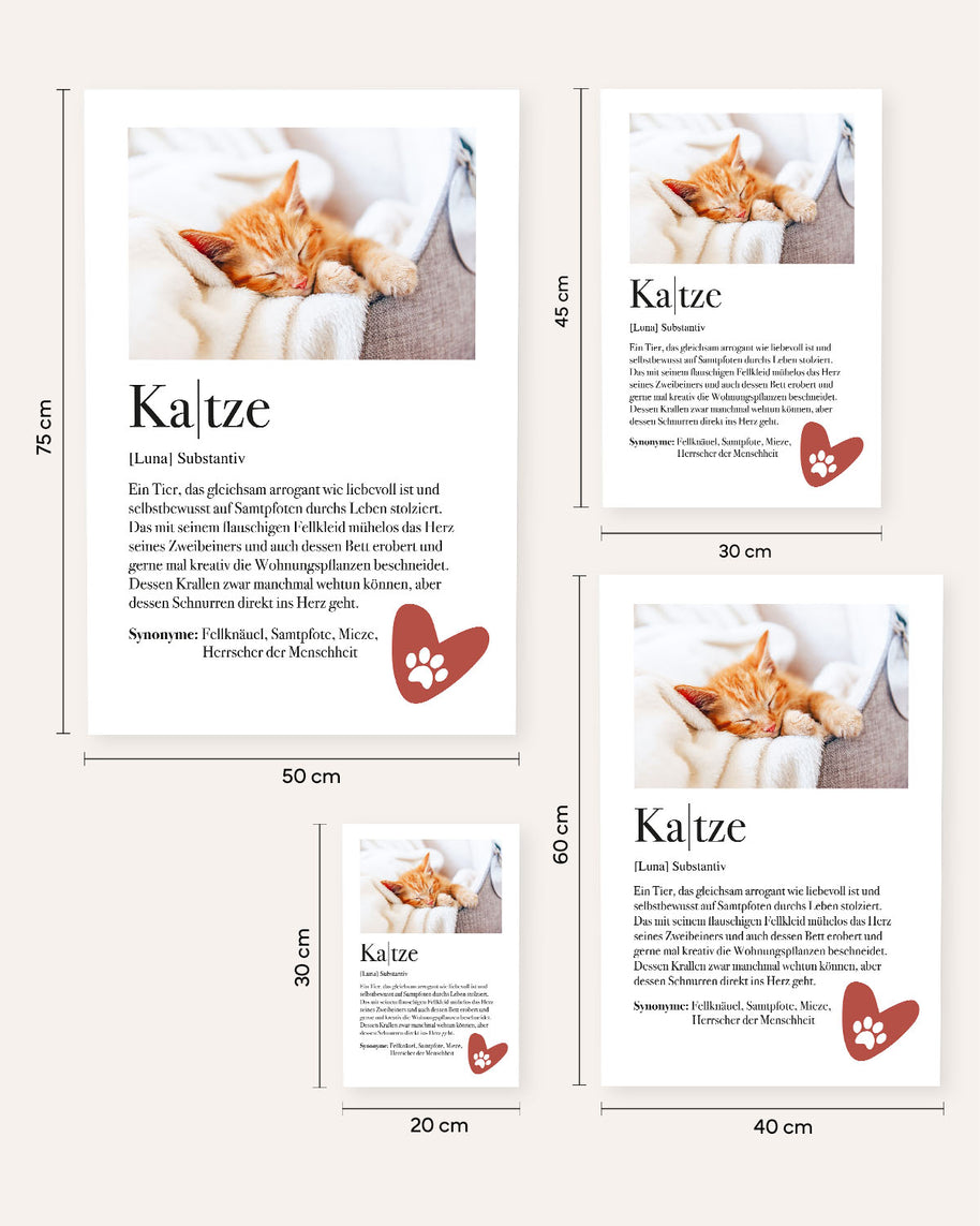 Definition Katze - Foto-Poster