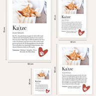 Definition Katze - Foto-Poster