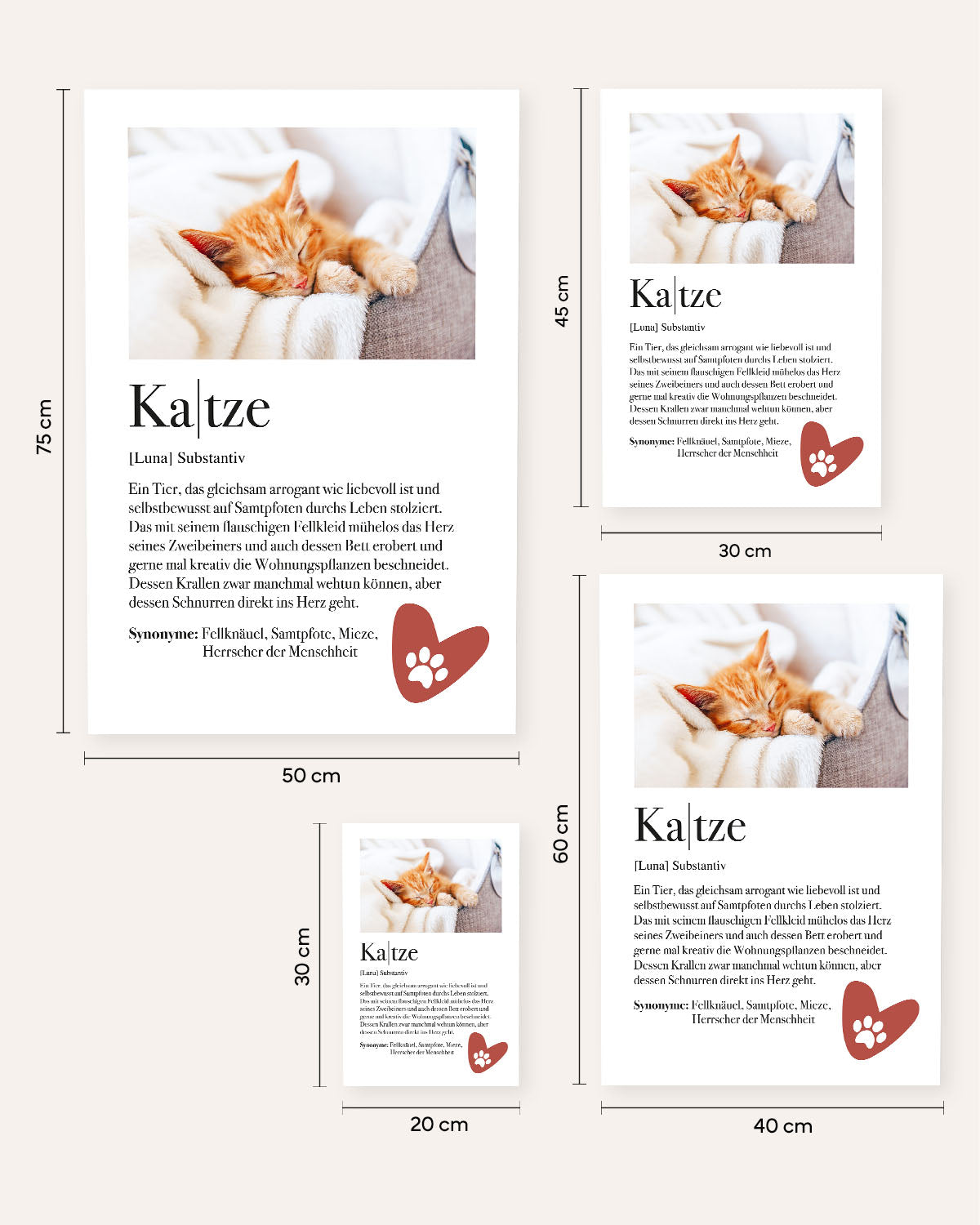 Definition Katze - Foto-Poster Poster Lieblingsmensch®