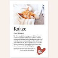 Definition Katze - Foto-Poster