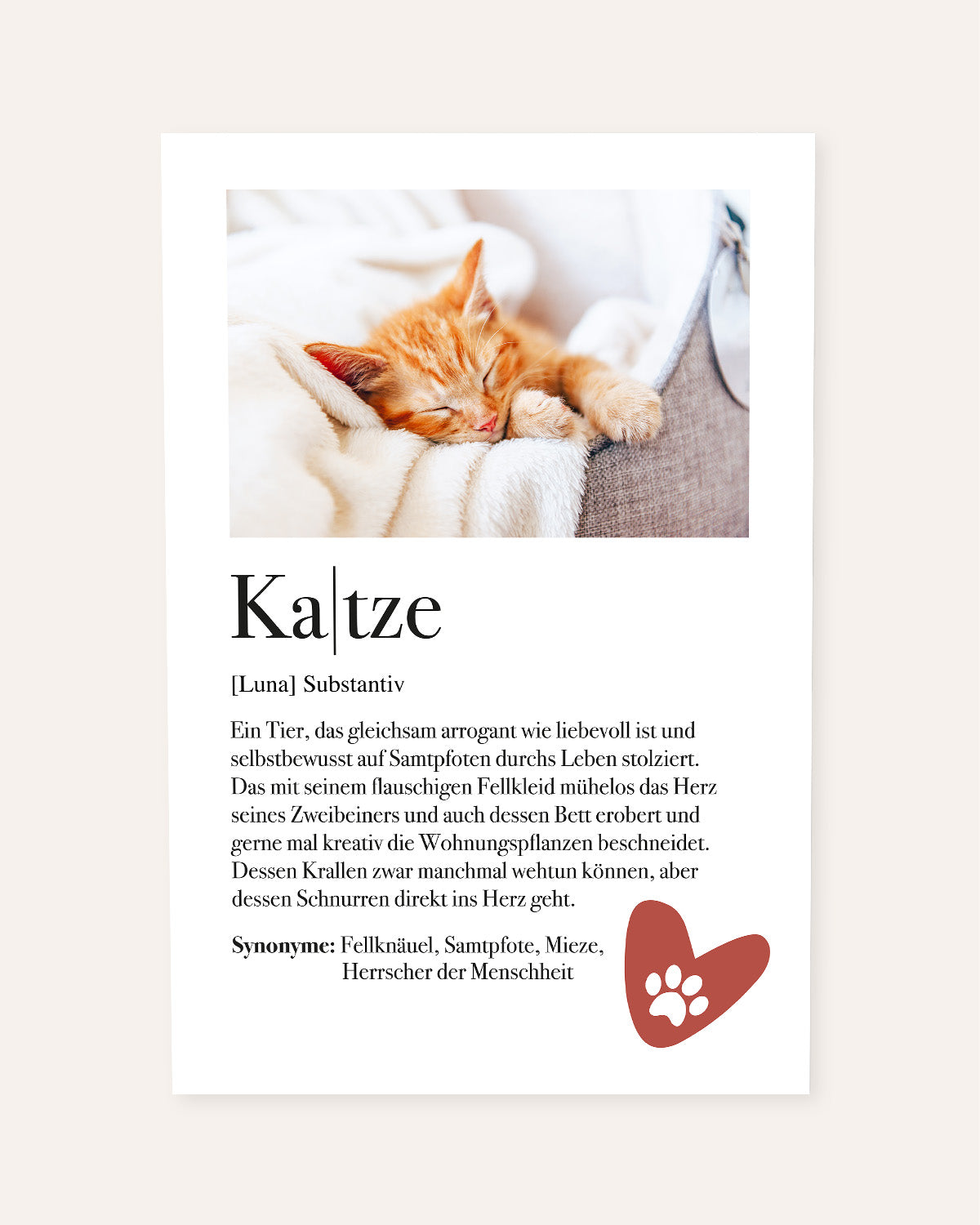 Definition Katze - Foto-Poster Poster Lieblingsmensch®