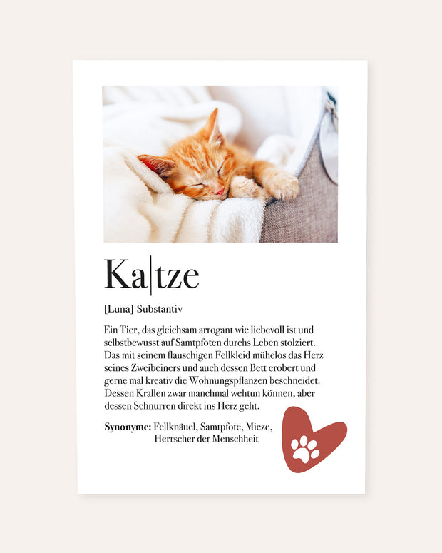 Definition Katze - Foto-Poster