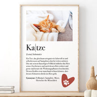 Definition Katze - Foto-Poster
