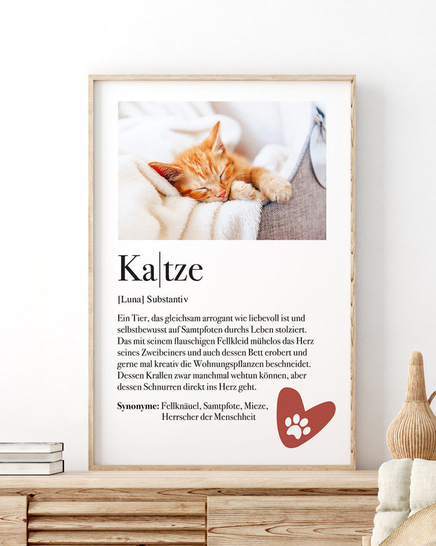 Definition Katze - Foto-Poster