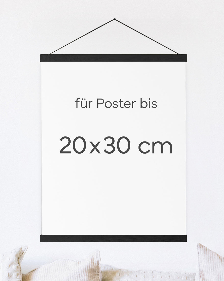 Posterleiste 20x30 cm Schwarz