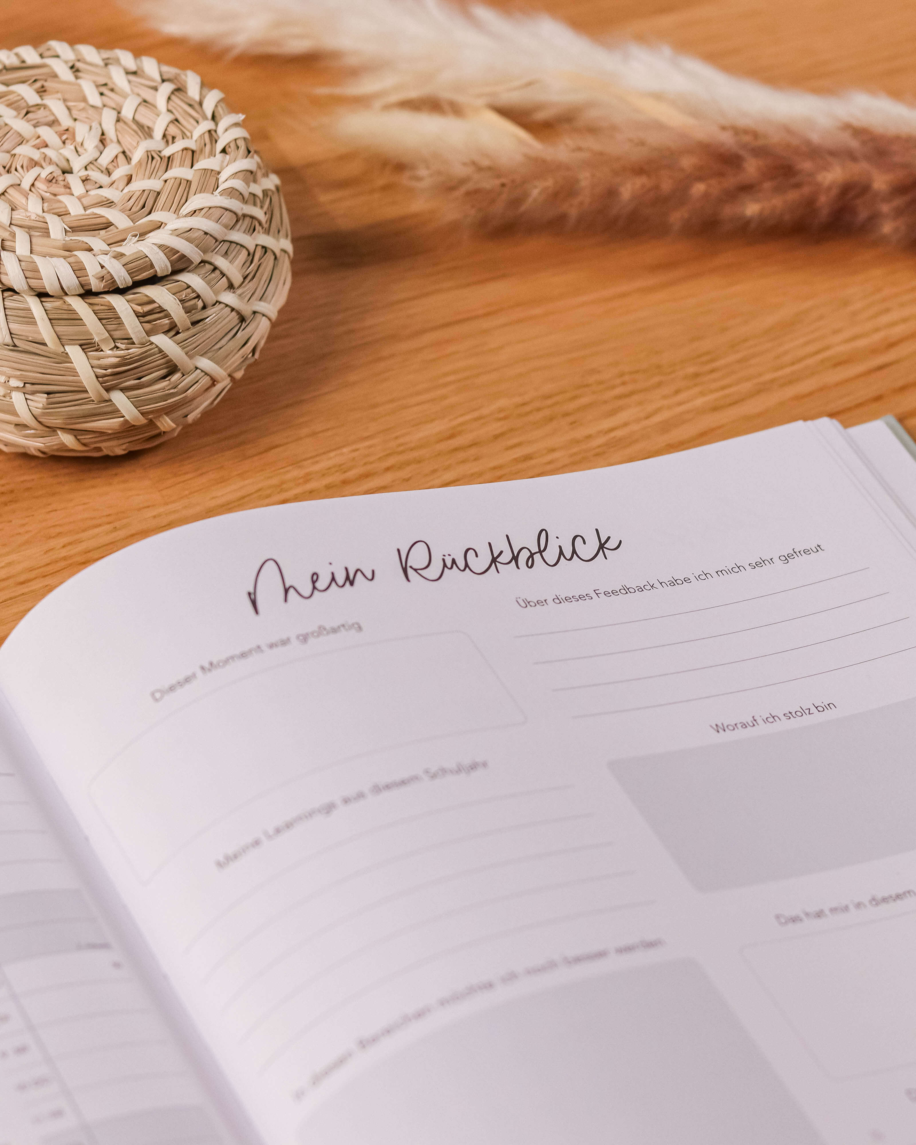 Lehrerkalender 2025 / 2026 Kalender Visual Statements®