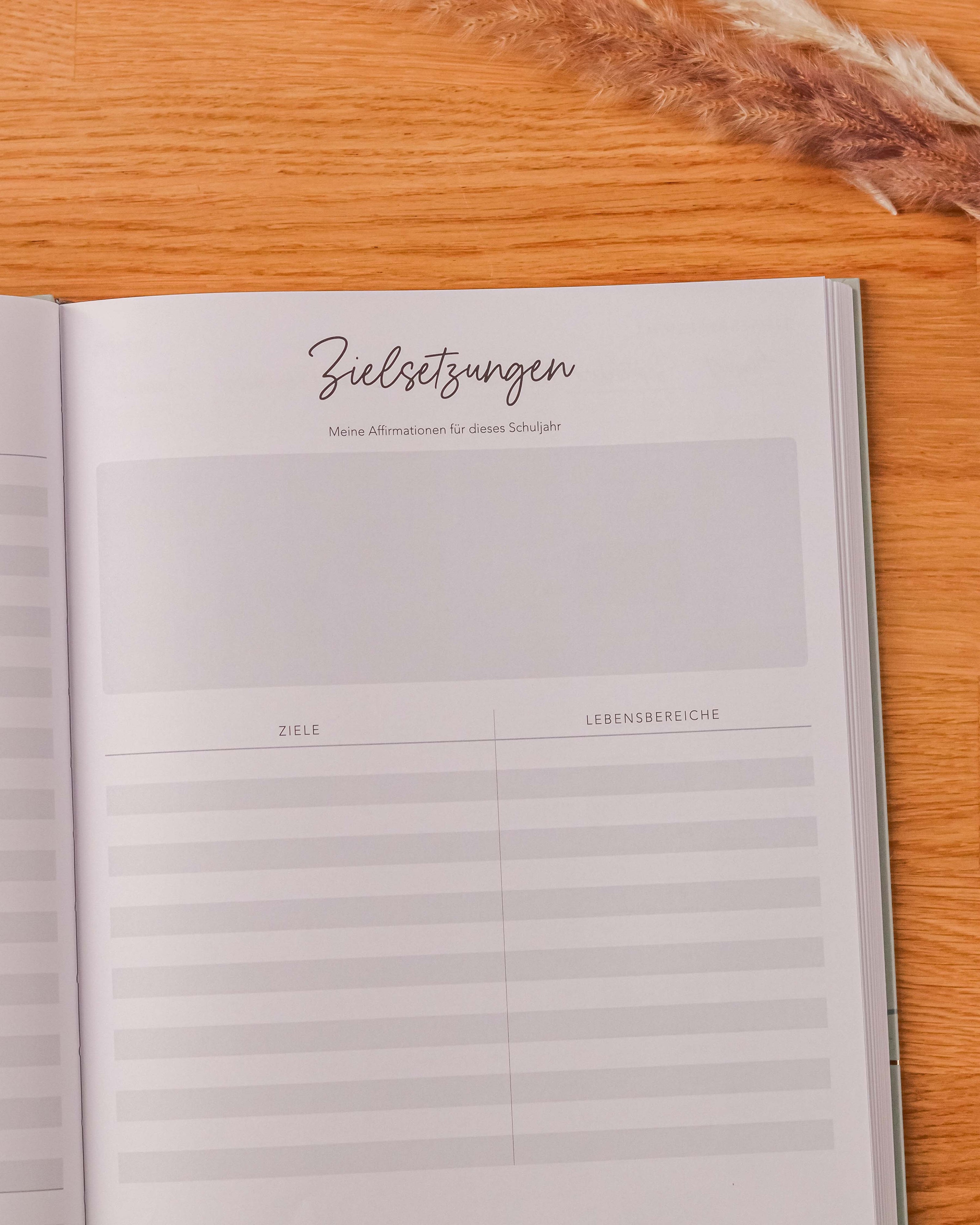 Lehrerkalender 2025 / 2026 Kalender Visual Statements®