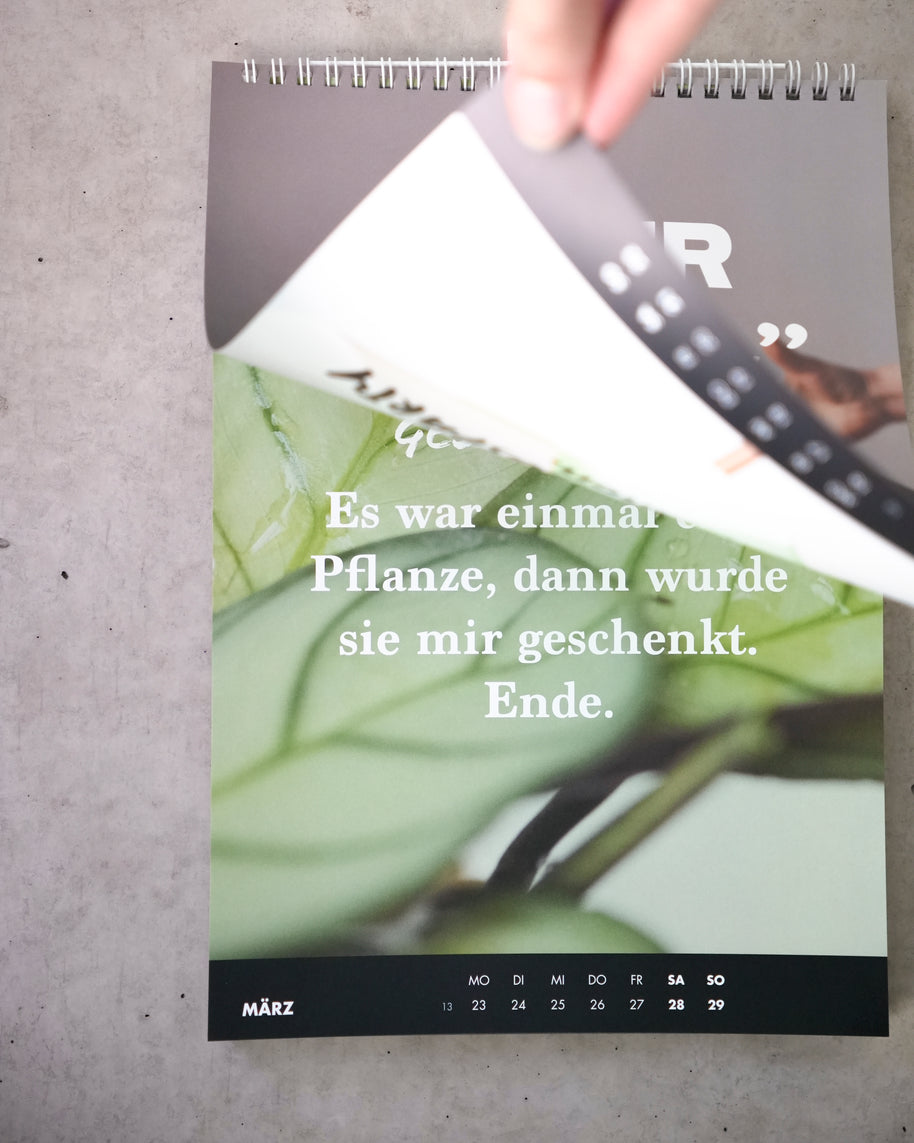 Wochenwandkalender 2026 VS Komfortzone verlassen Kalender Sarkasmus